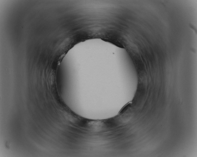 X0000091340133200708311504