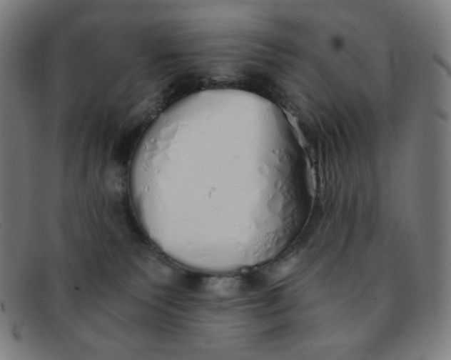 X0000091340135200708311504