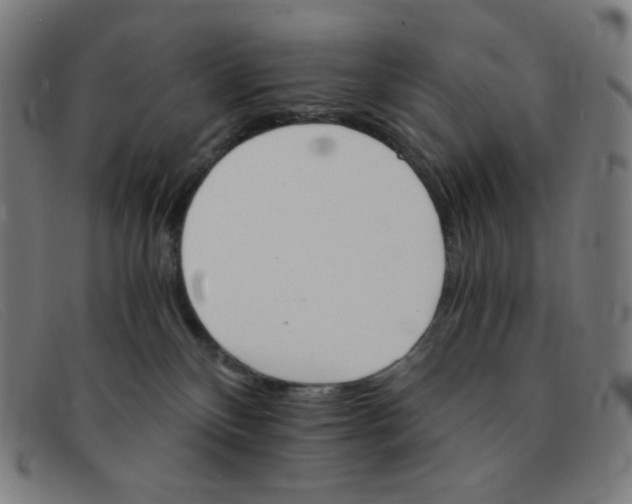 X0000091340136200708311504