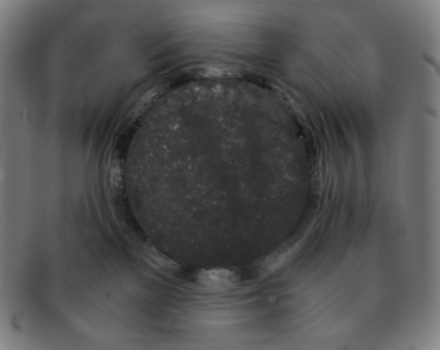 X0000091340137200708311504