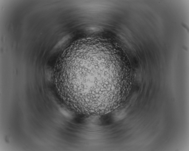 X0000091340138200708311504