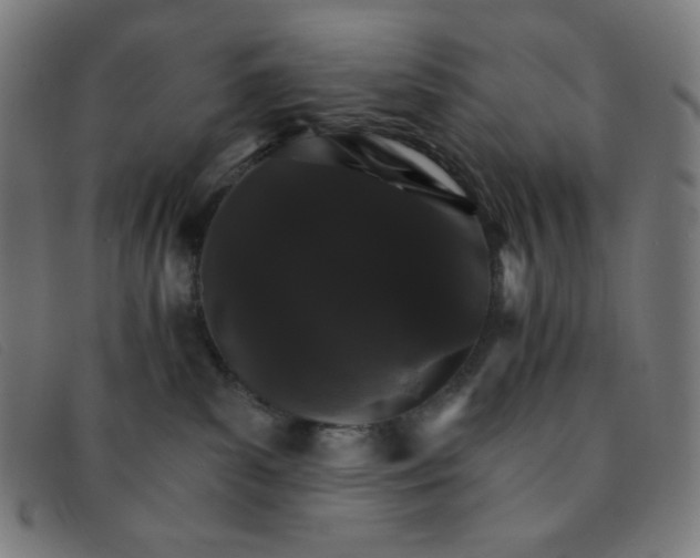 X0000091340139200708311504