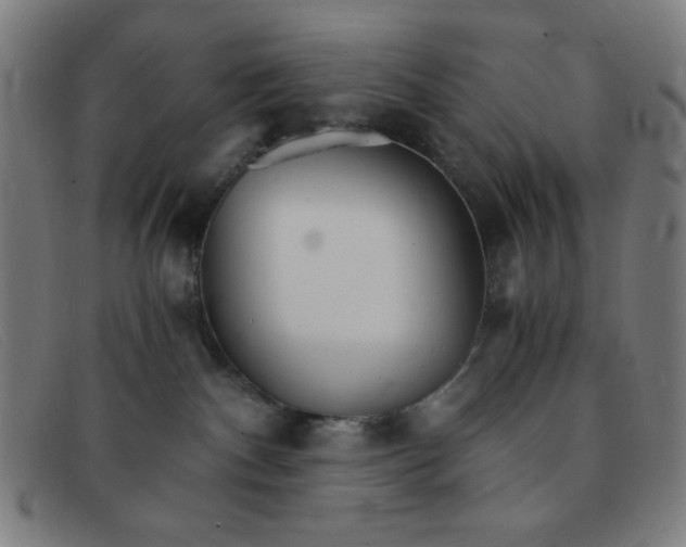 X0000091340140200708311504