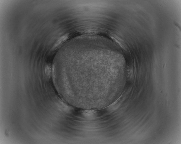 X0000091340142200708311504