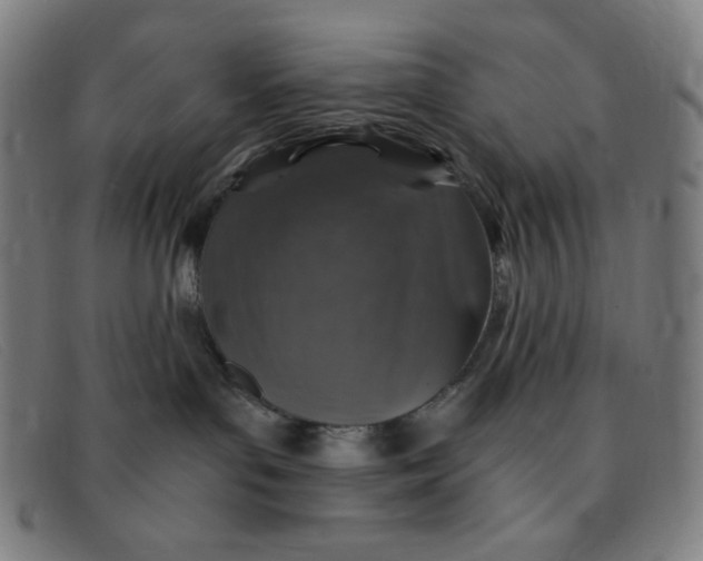 X0000091340143200708311504