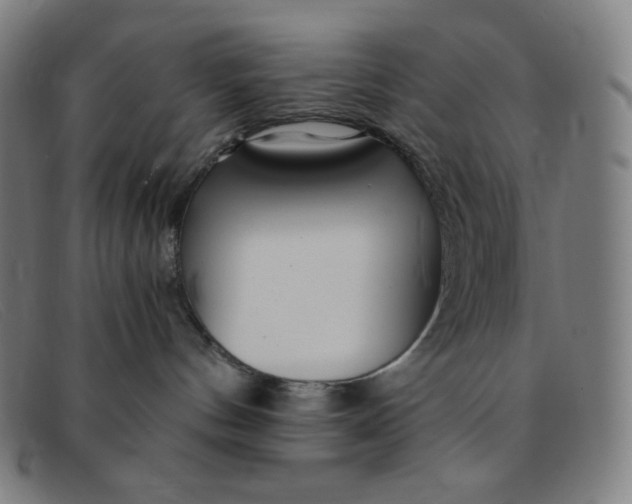 X0000091340144200708311504