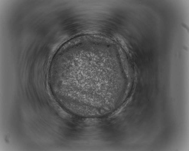 X0000091340145200708311503