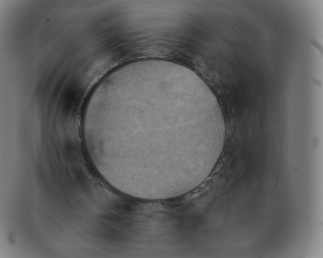 X0000091340146200708311503