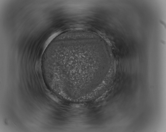 X0000091340147200708311503