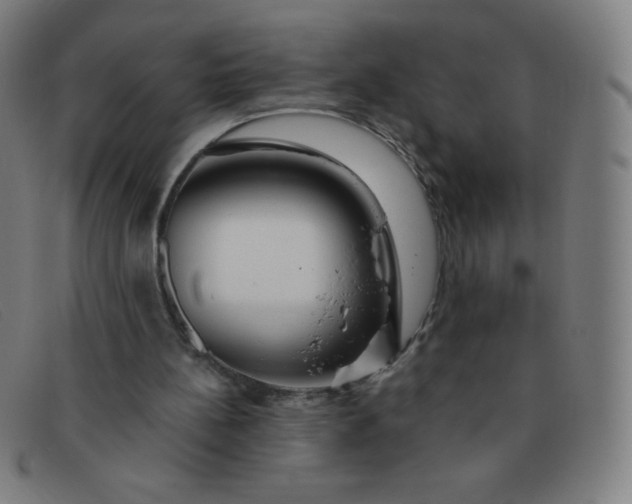 X0000091340148200708311503