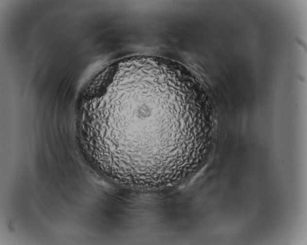 X0000091340149200708311503