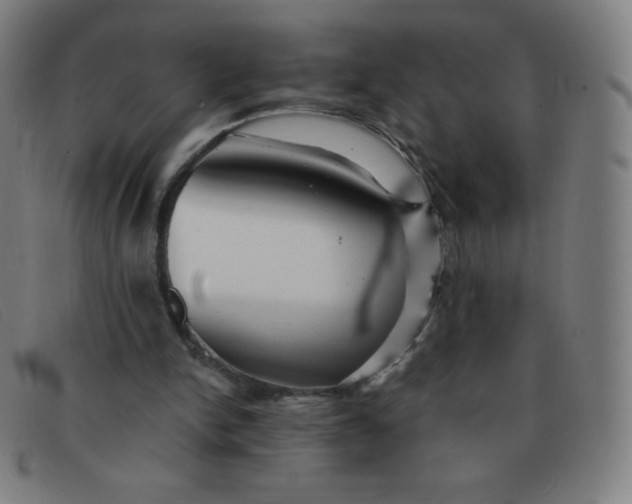 X0000091340150200708311503