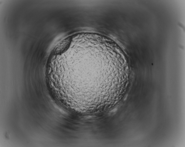 X0000091340151200708311503