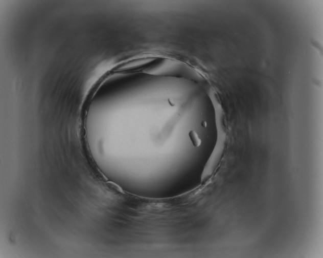 X0000091340152200708311503