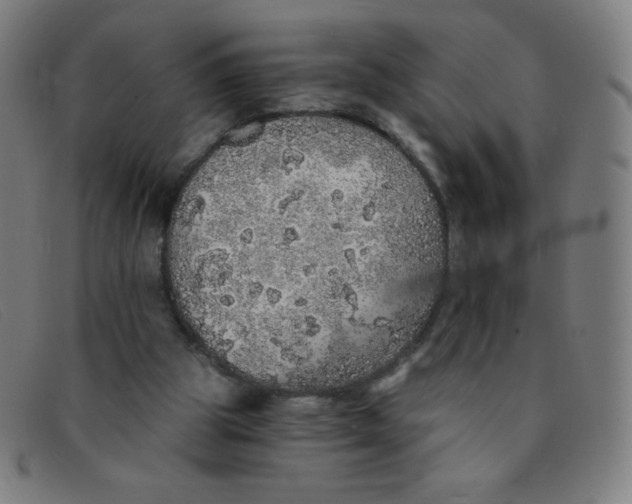 X0000091340153200708311503