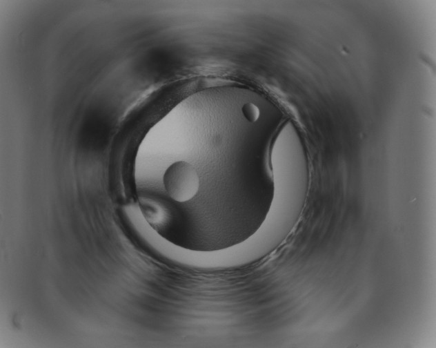 X0000091340154200708311503