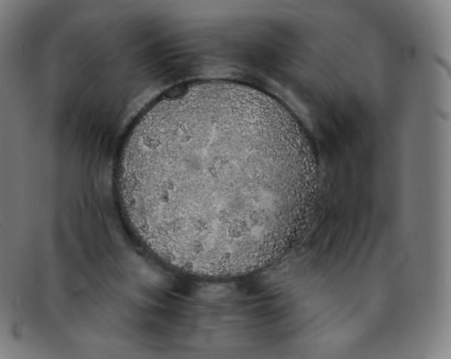 X0000091340155200708311503