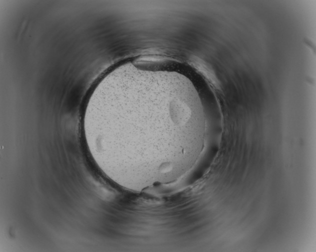 X0000091340156200708311503