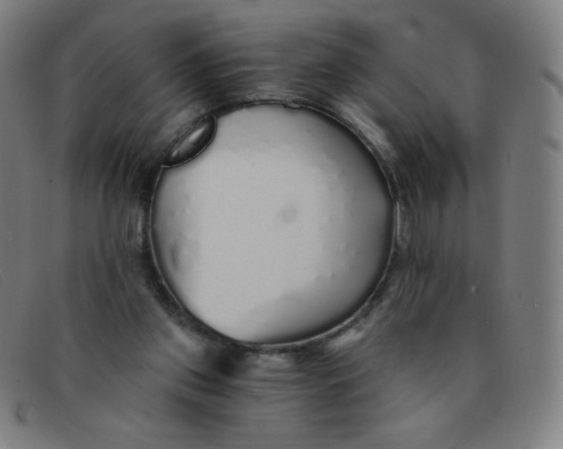 X0000091340157200708311503