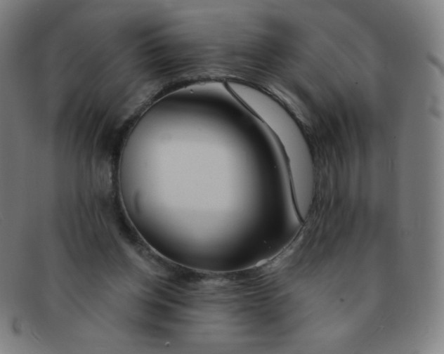 X0000091340158200708311503