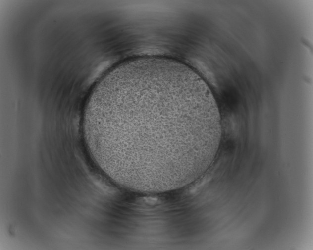 X0000091340159200708311503