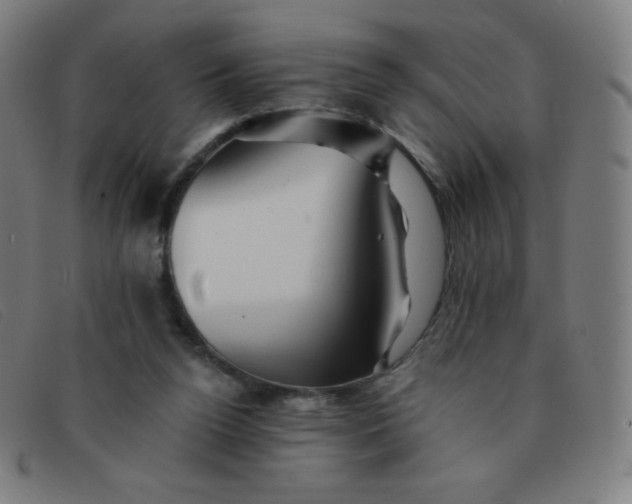 X0000091340160200708311503