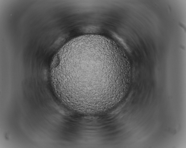 X0000091340161200708311503