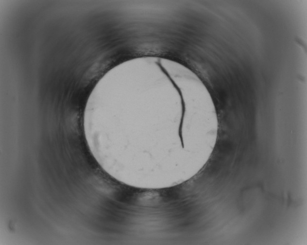 X0000091340162200708311503