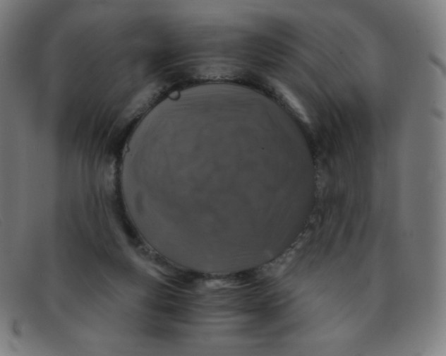 X0000091340163200708311503