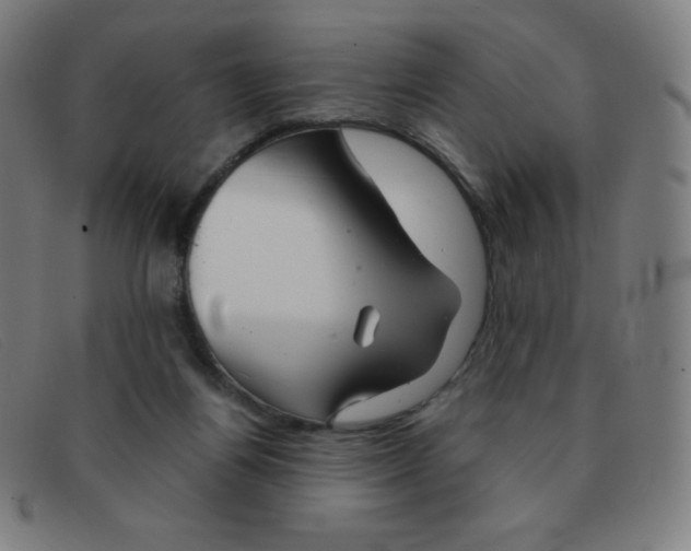 X0000091340164200708311503