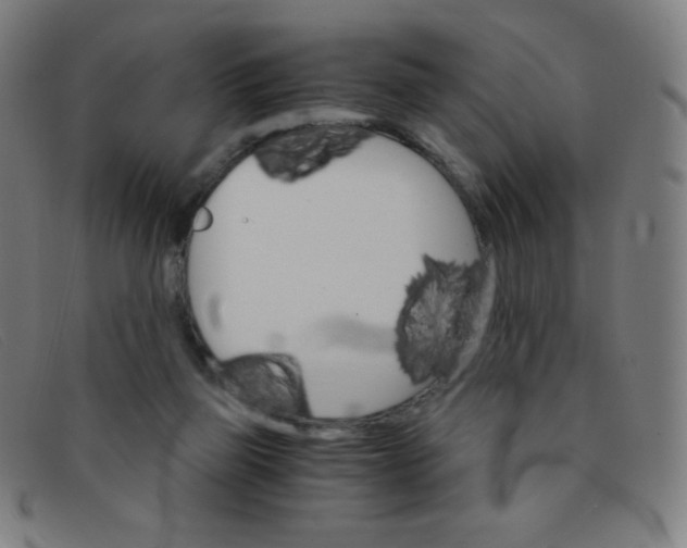 X0000091340165200708311503