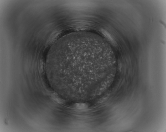 X0000091340169200708311503