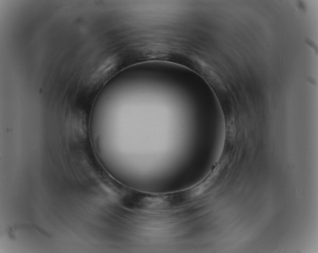 X0000091340170200708311503