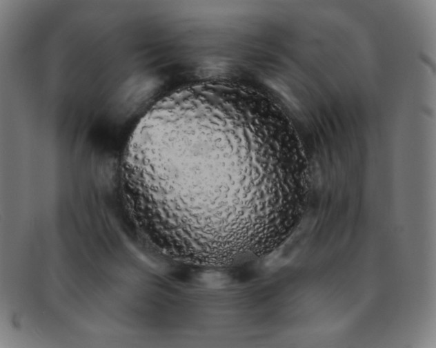 X0000091340171200708311503