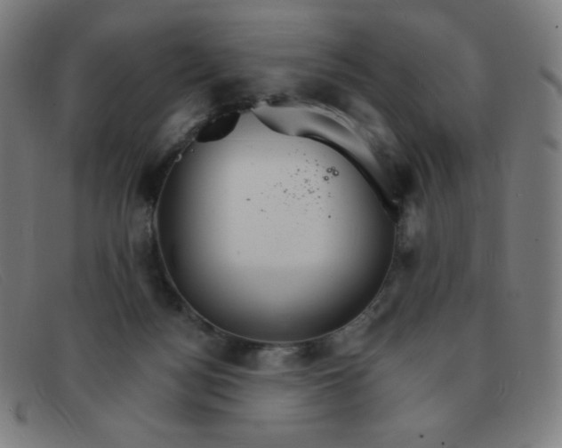 X0000091340172200708311503