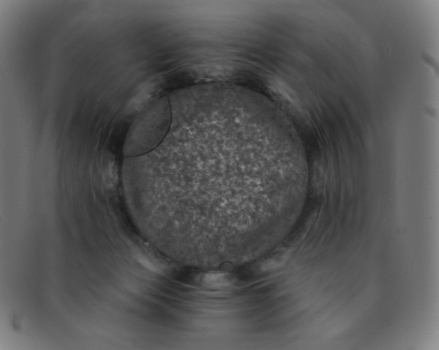 X0000091340173200708311503