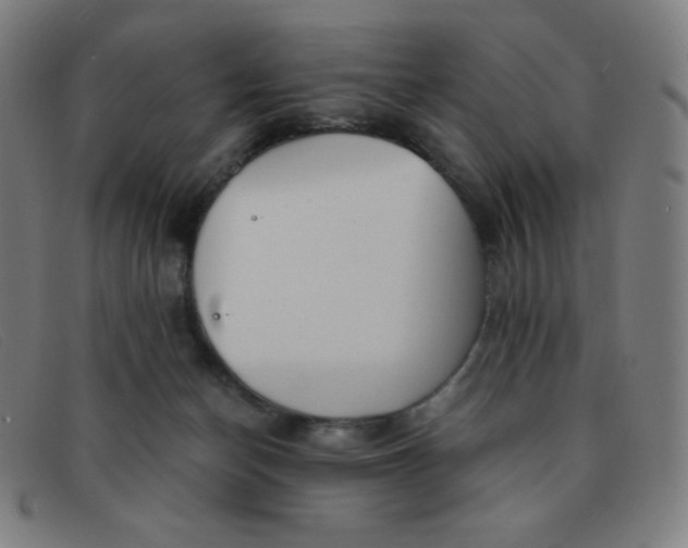 X0000091340174200708311503