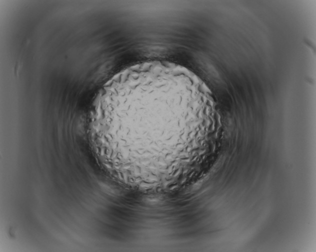 X0000091340175200708311503