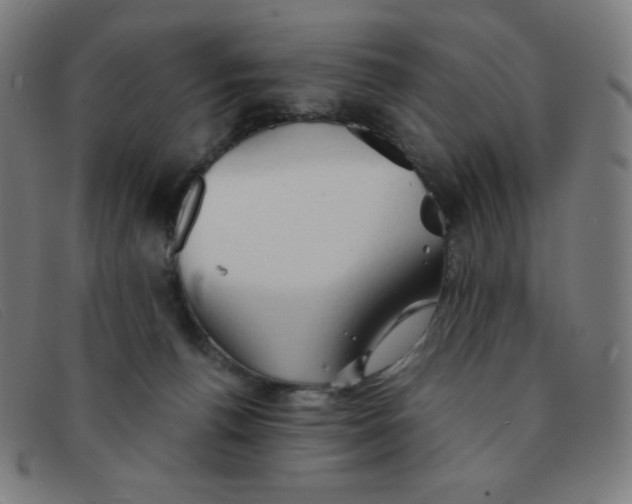 X0000091340176200708311503