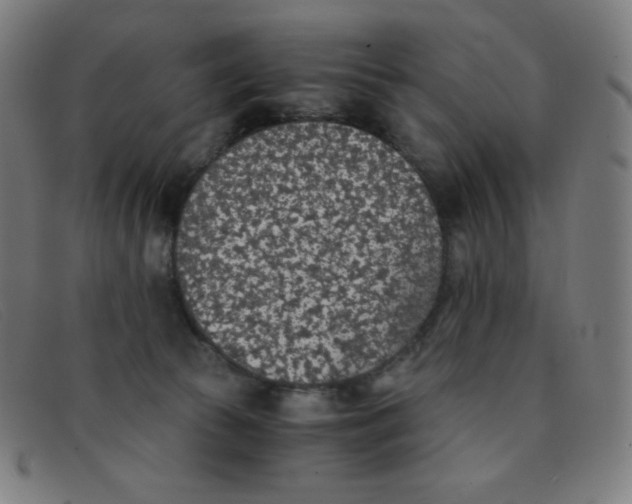 X0000091340177200708311504