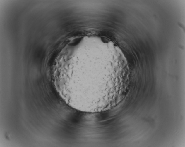 X0000091340178200708311504