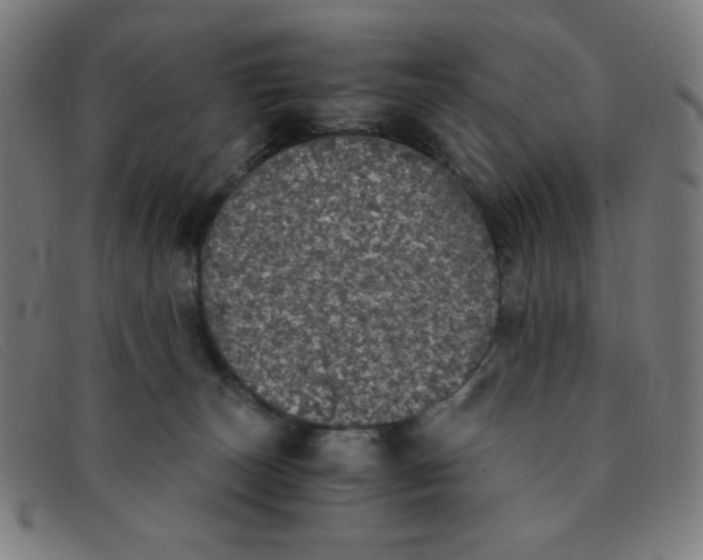 X0000091340179200708311504