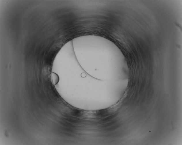 X0000091340182200708311504