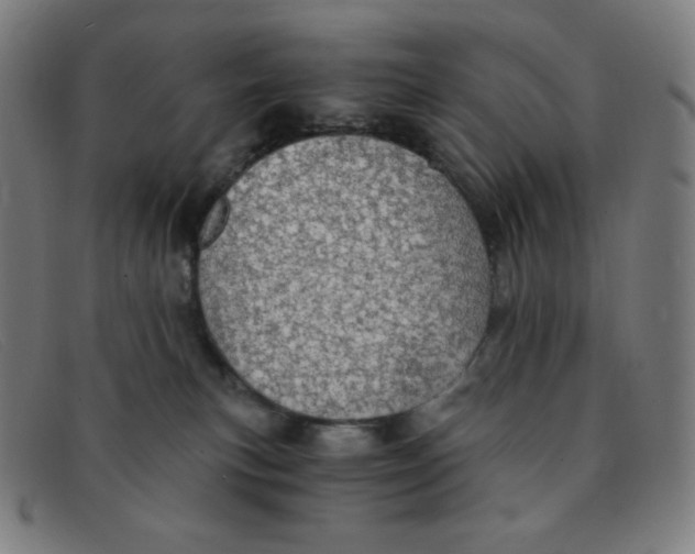 X0000091340183200708311504