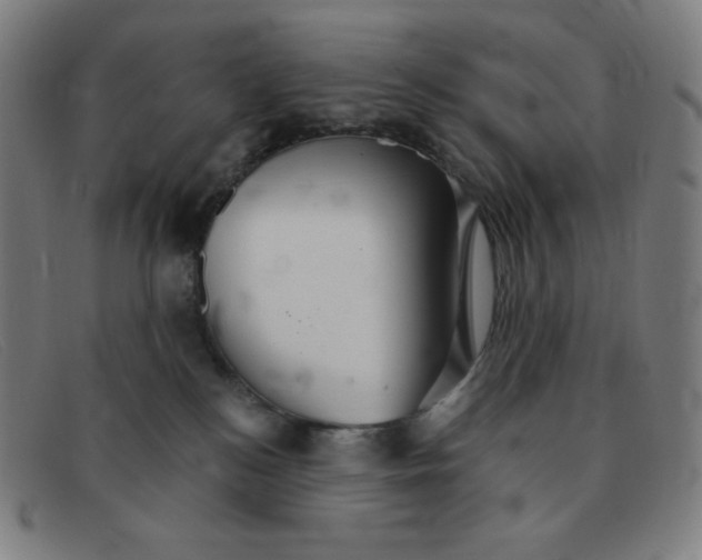 X0000091340184200708311504