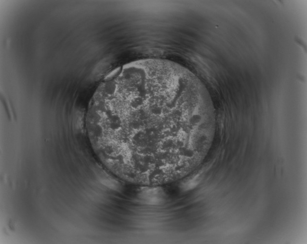 X0000091340185200708311504