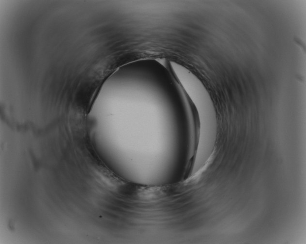 X0000091340186200708311504