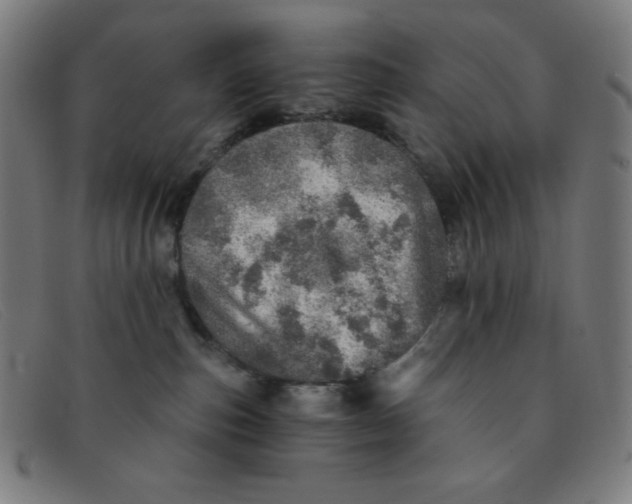 X0000091340187200708311504