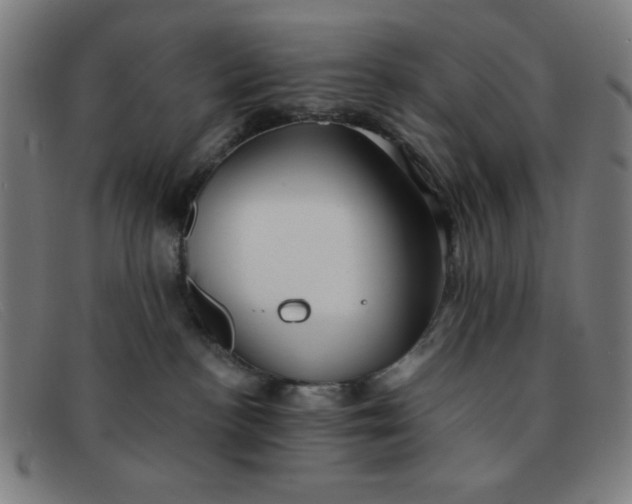 X0000091340188200708311504