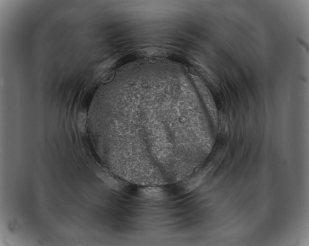 X0000091340189200708311504